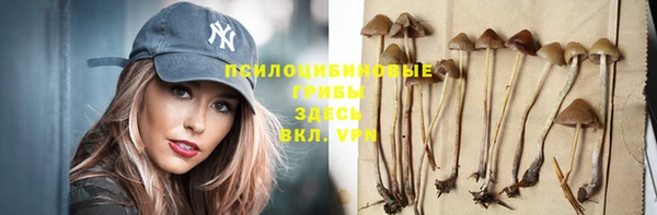 бошки Дмитров