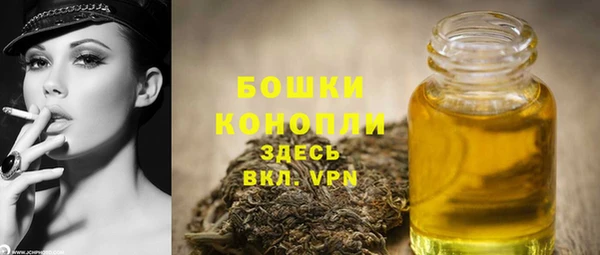 бошки Дмитров