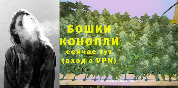 PSILOCYBIN Елабуга
