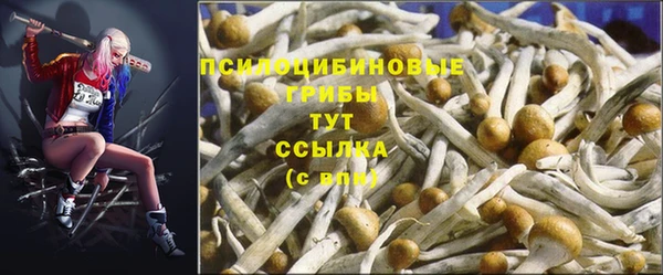 прущая мука Гусиноозёрск