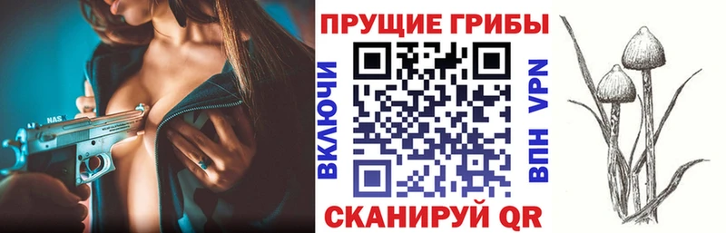 Псилоцибиновые грибы прущие грибы  Купить закладки  Пыталово 
